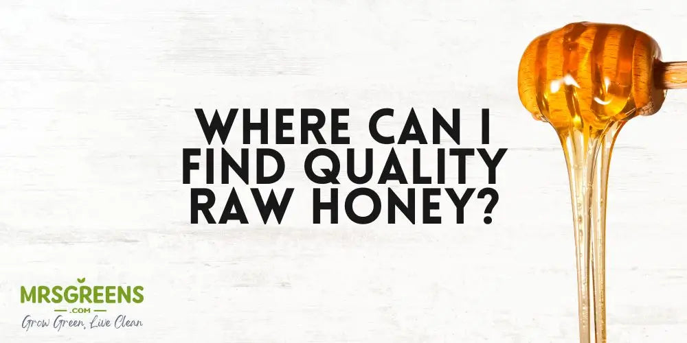 Where Can I Find Quality Raw Honey?